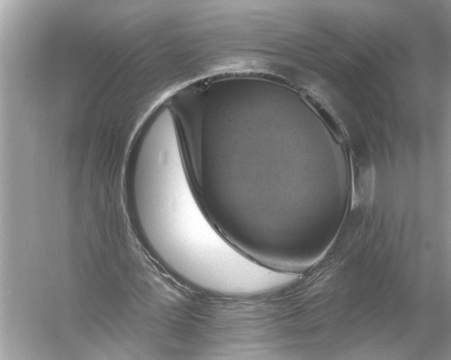 X0000055990387200509162257