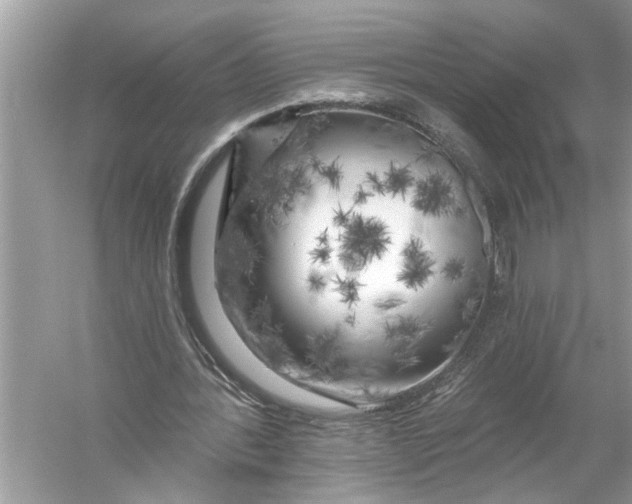 X0000055990388200509162257