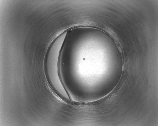 X0000055990389200509162257