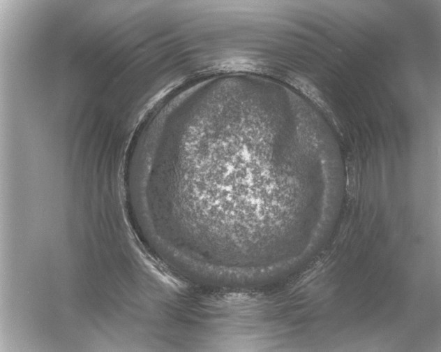 X0000055990390200509162257