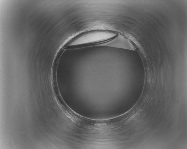 X0000055990391200509162257