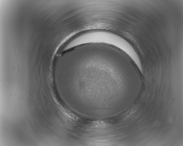 X0000055990392200509162257