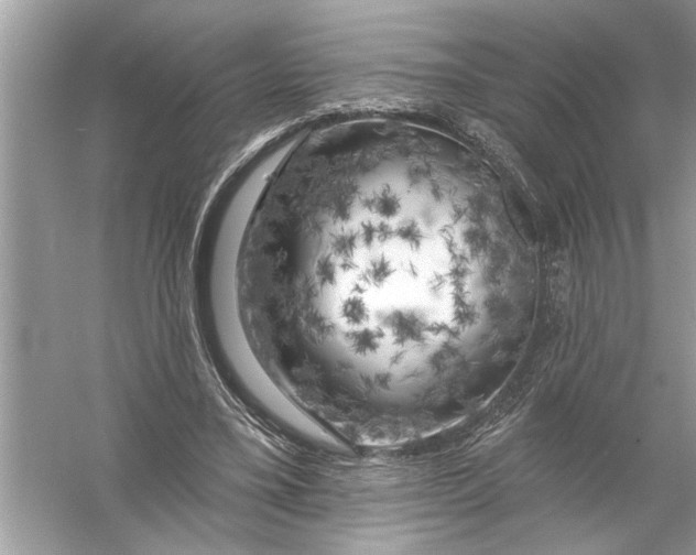 X0000055990395200509162257