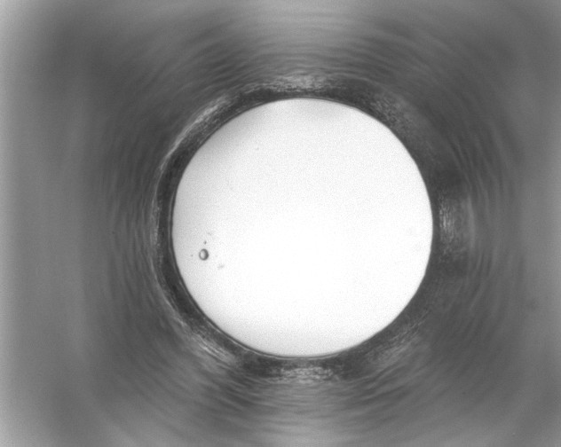 X0000055990396200509162257