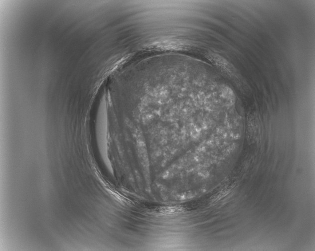 X0000055990398200509162257