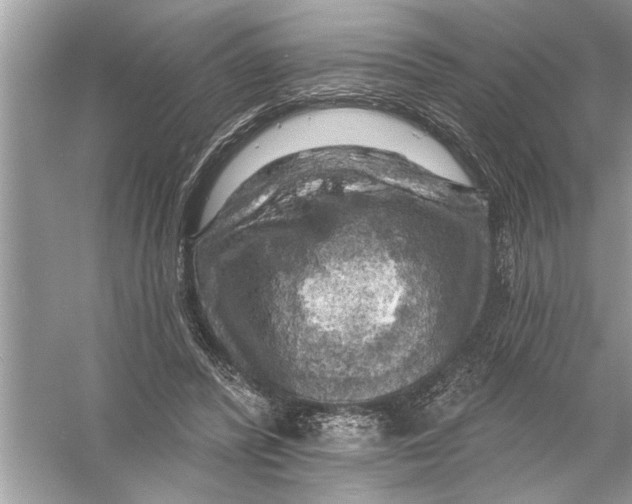 X0000055990400200509162257