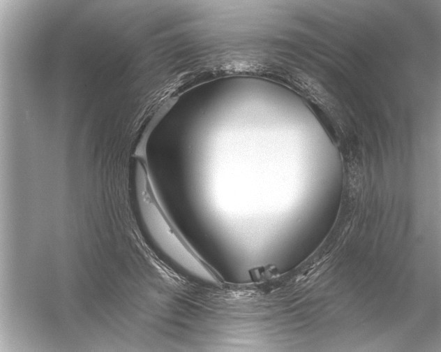 X0000055990401200509162257