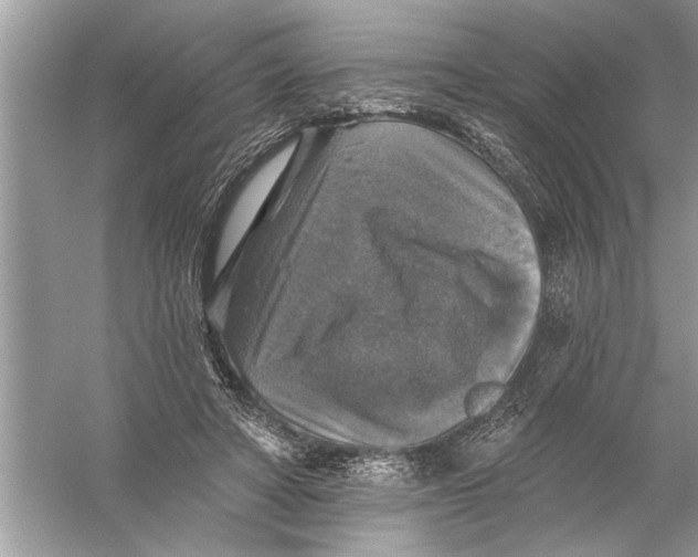 X0000055990402200509162257