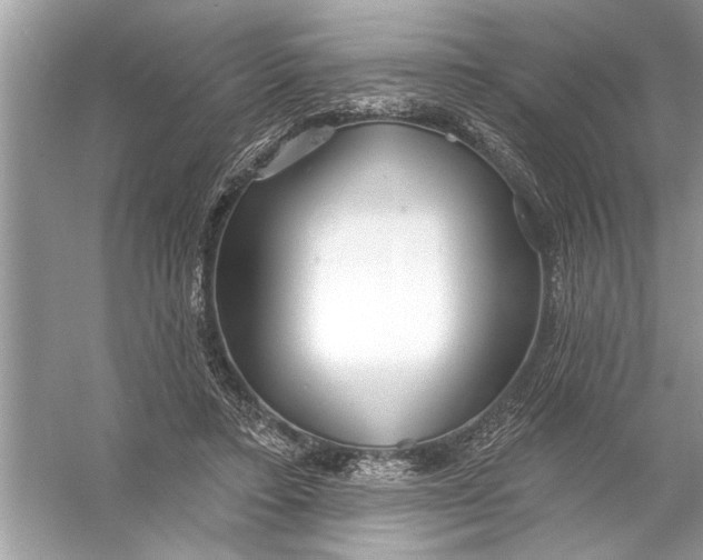 X0000055990403200509162257