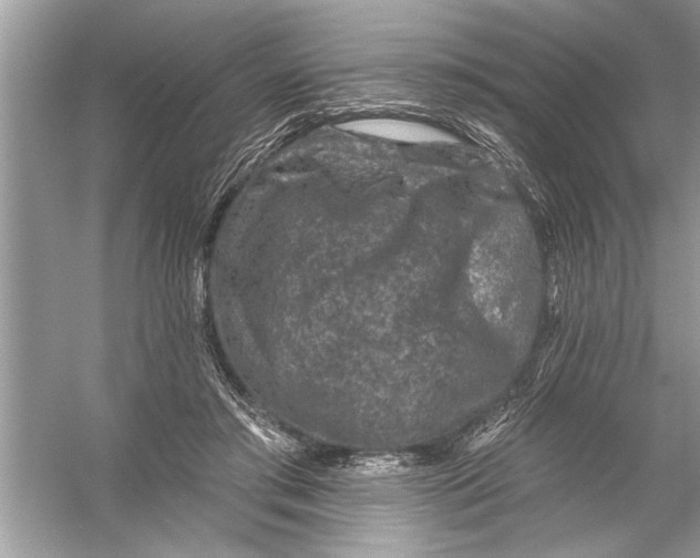 X0000055990405200509162257