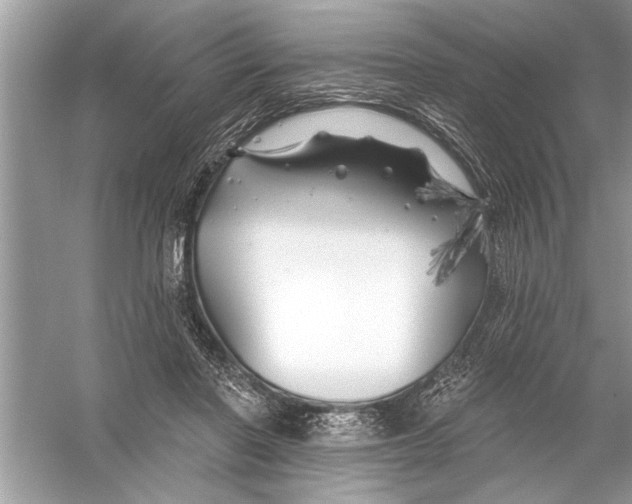 X0000055990406200509162257