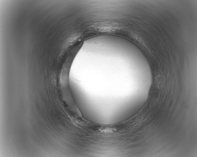 X0000055990407200509162257