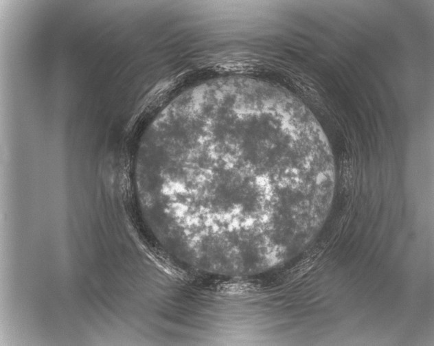 X0000055990408200509162257