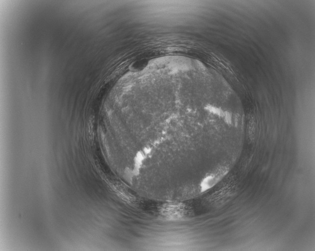 X0000055990410200509162257