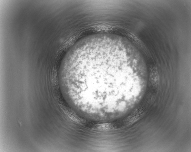 X0000055990411200509162257