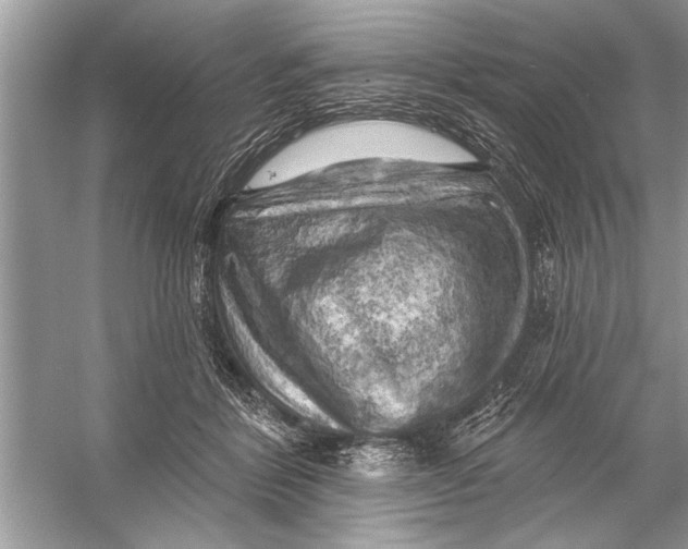 X0000055990412200509162257