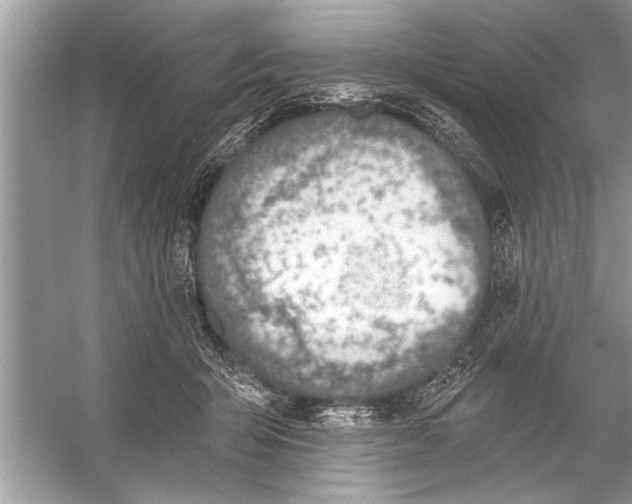 X0000055990415200509162257