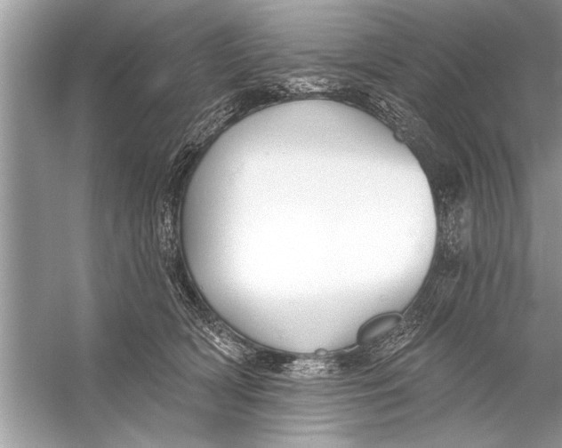 X0000055990418200509162256