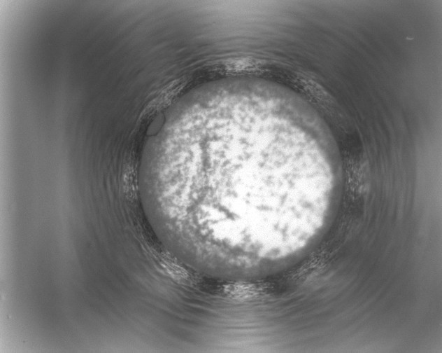 X0000055990419200509162256