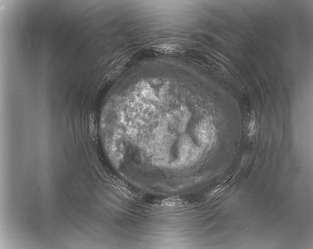 X0000055990420200509162256