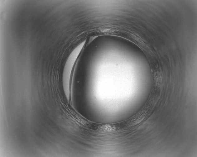 X0000055990421200509162256