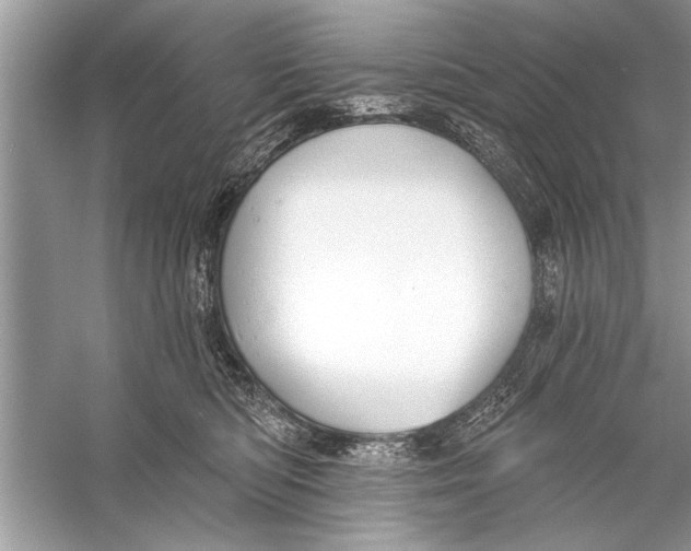 X0000055990422200509162256