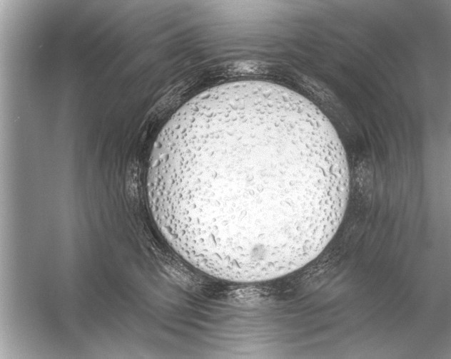 X0000055990423200509162256