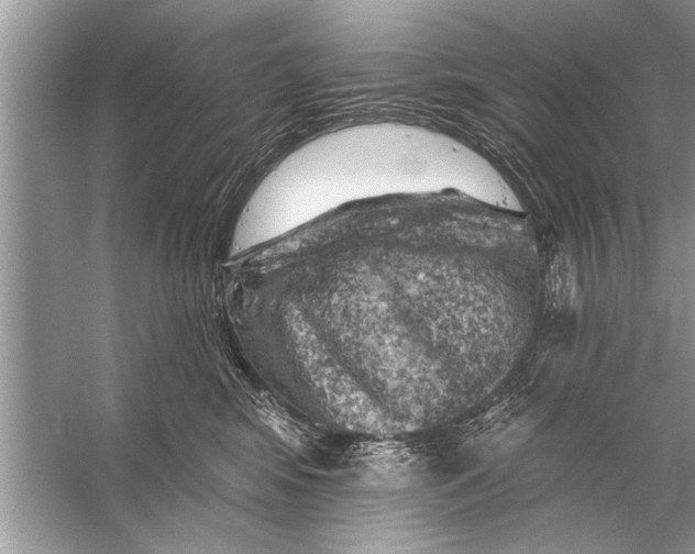 X0000055990424200509162256