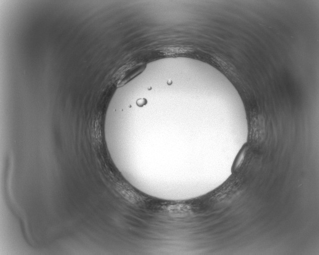 X0000055990426200509162256