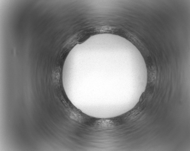 X0000055990427200509162256