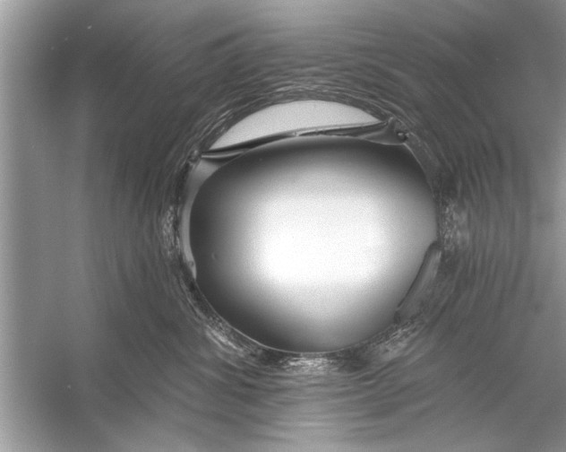 X0000055990428200509162256