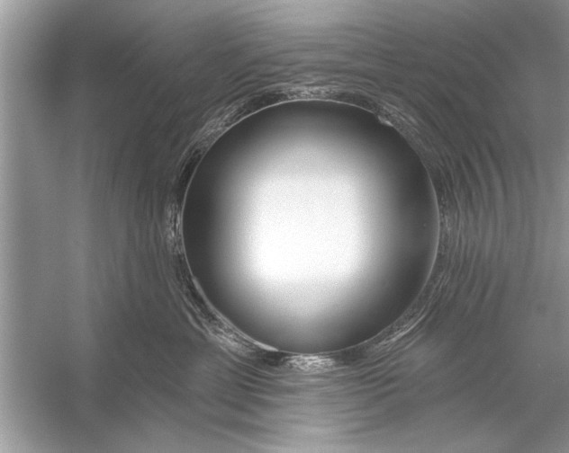 X0000055990429200509162256