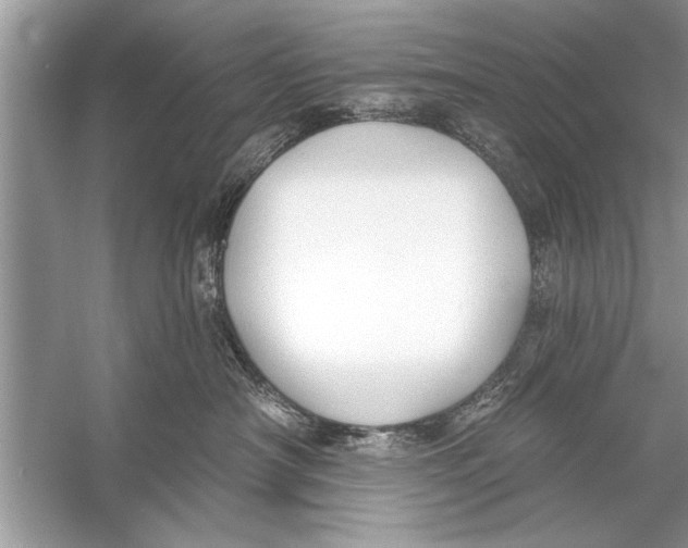 X0000055990430200509162256