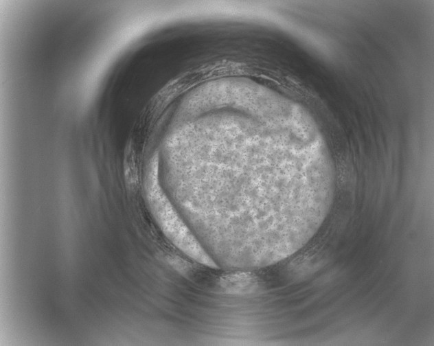 X0000055990431200509162256