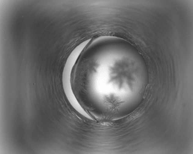 X0000055990432200509162256