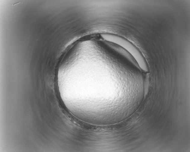 X0000055990434200509162255