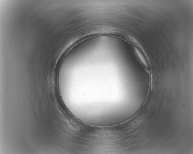 X0000055990435200509162255