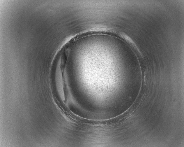 X0000055990436200509162255