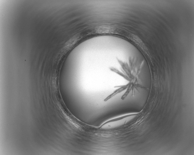 X0000055990441200509162256