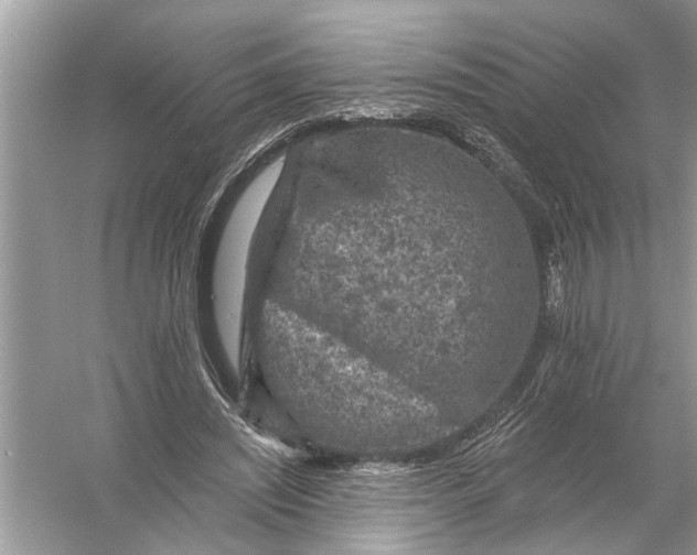 X0000055990444200509162256