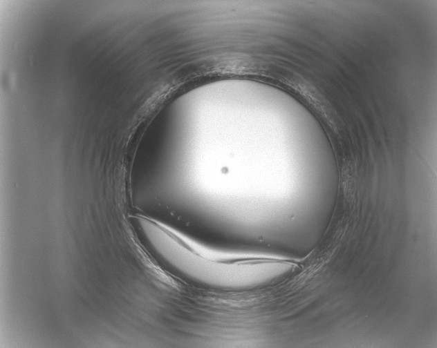 X0000055990445200509162256