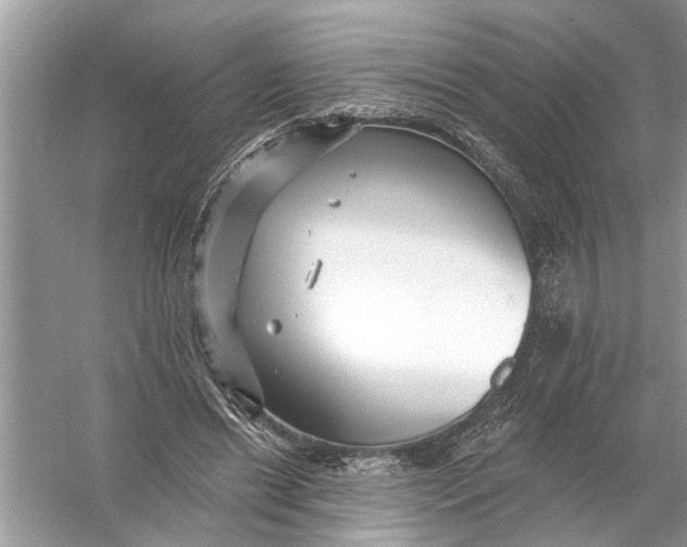 X0000055990446200509162256