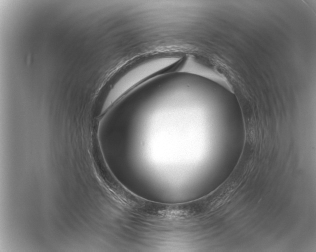 X0000055990448200509162256