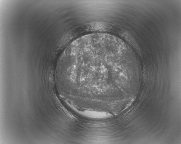 X0000055990449200509162256