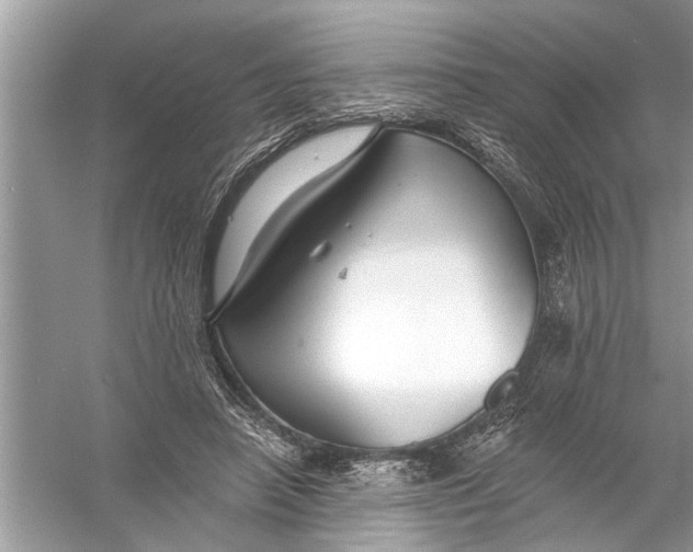 X0000055990450200509162256