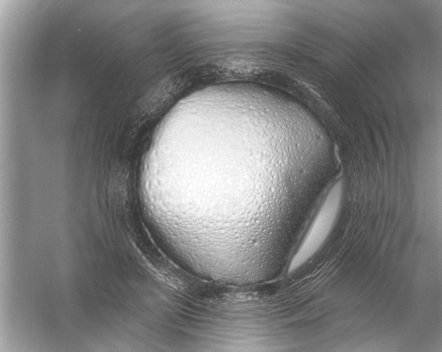 X0000055990451200509162256