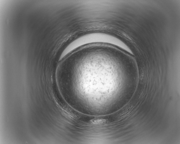 X0000055990452200509162256