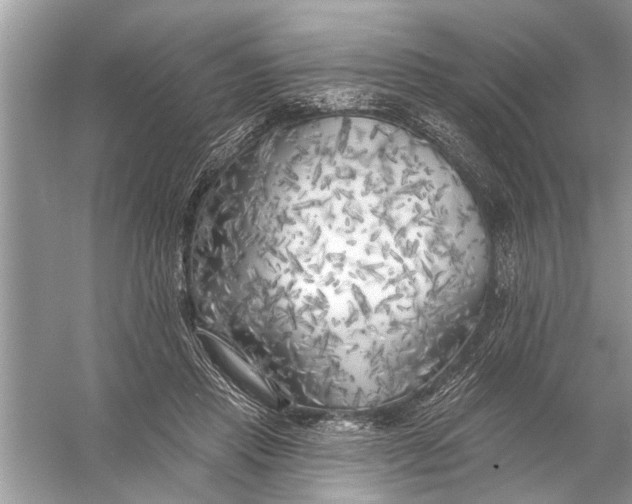 X0000055990453200509162256