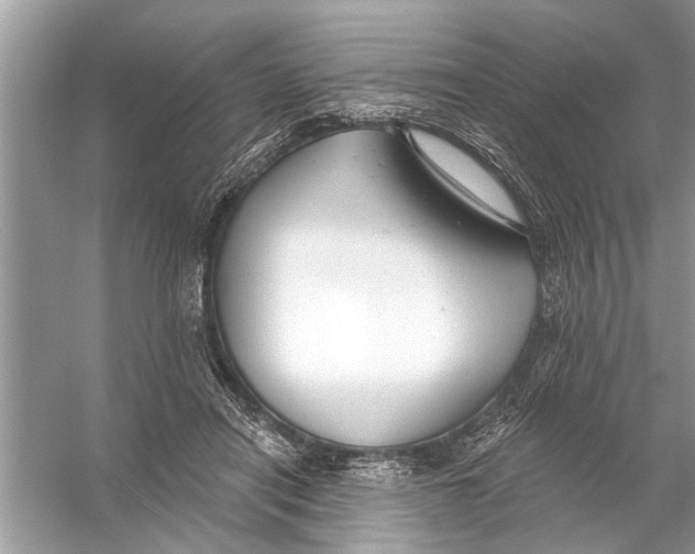 X0000055990454200509162256