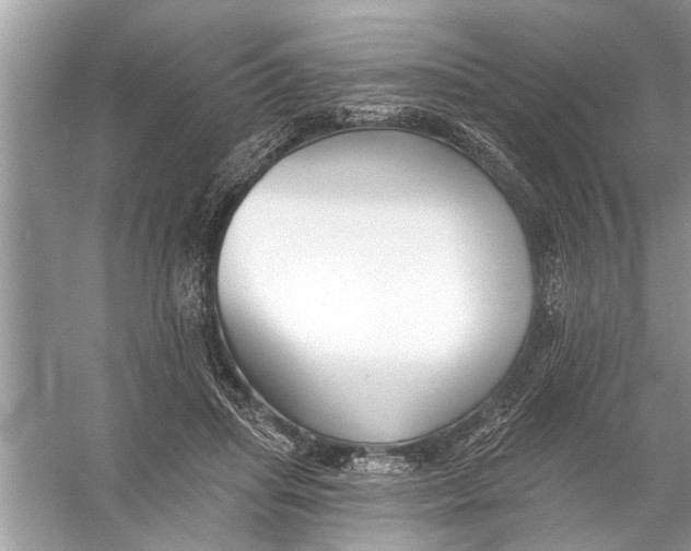 X0000055990455200509162256